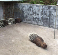 金華動物園