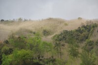 小壩鄉[四川北川羌族自治縣轄鄉]