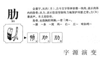 肋的字源演變