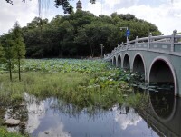 佛山高明靈龜公園