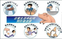 豬流感病毒