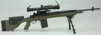 M14 DMR