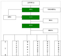 中國註冊會計師協會結構