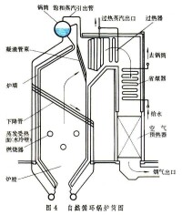 自然循環鍋爐簡圖