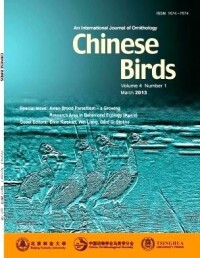 Chinese Birds