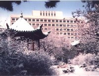 中國醫科大學舊校園冬景