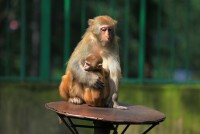 鹽城人民公園動物園高清組圖3