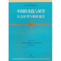 中國的實踐與展望：社會轉型與制度建設 