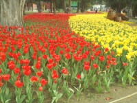 重慶花卉園