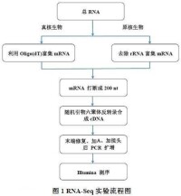 RNA-seq