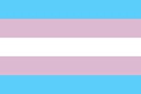 跨性別驕傲旗幟