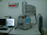 掃描電子顯微鏡