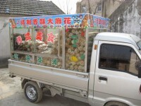 麻花車