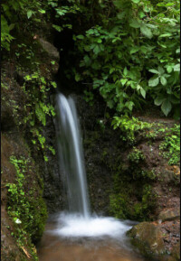 山泉水