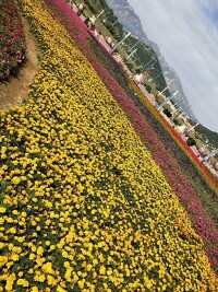 青島西海岸生態觀光園