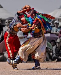 蒙古族摔跤“博克”