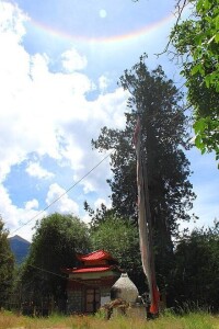 古秀寺敦巴辛饒佛等身樹。