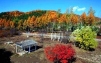 黑龍江鶴崗國家森林公園