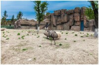 龍沙動植物園