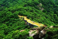 雲台山