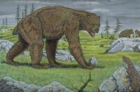 更新世北美大陸的主宰——巨型短面熊