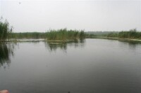 石龍湖濕地公園