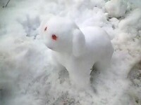 楊曉嫵（楊麗）堆的雪人