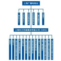 上海東方傳媒集團有限公司