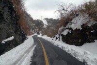 新村鄉概況