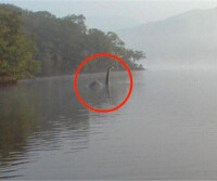 尼斯湖水怪[一種未被證實生物]