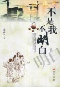 不是我不明白[金燕平著作]