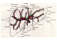 肝腎隱窩