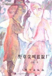 雲中作品封面