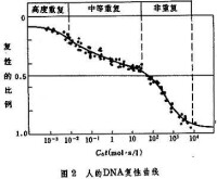 脫氧核糖核酸重複順序