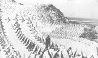 德軍沿海岸線設置了重重反坦克障礙