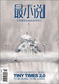 《最小說》2008年封面一覽