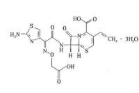 頭孢克肟分散片