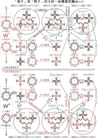 強子與輕子相互轉化的-大統一結構圖