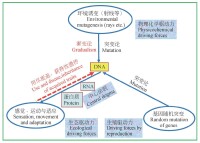 遺傳變異與各種進化理論的關係