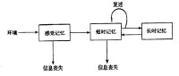 記憶系統