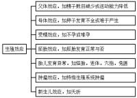 母體效應