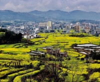 梅花鎮遠景