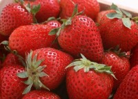 全明星草莓