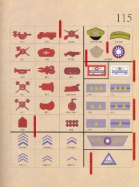 汪偽空軍軍銜和標誌