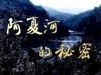 中國電影《阿夏河的秘密》精彩劇照