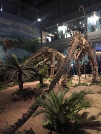 自貢恐龍博物館