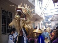 活靈活現的赤坎文章灣村稻草龍