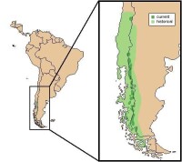 智利馬駝鹿分布圖