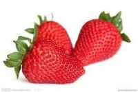 無子草莓