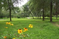 北京城南公園